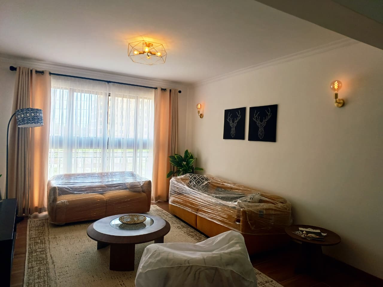 Ivy Terraces Another View